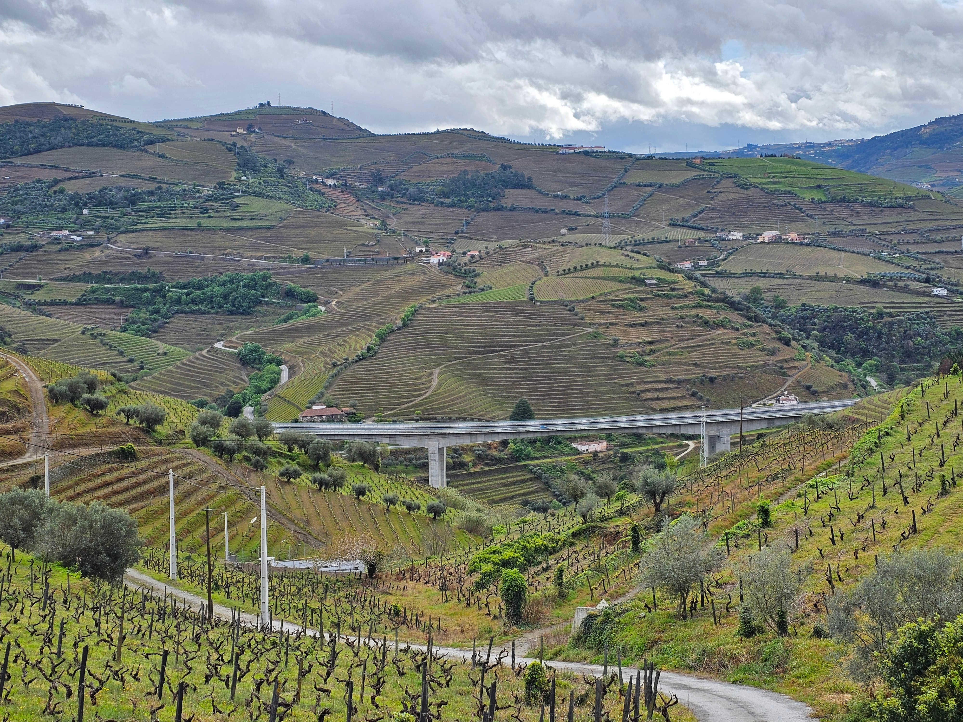 Douro